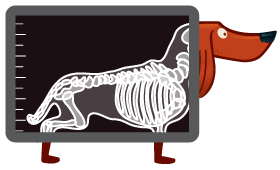 Hannah The Pet Society - Vet Care Plans