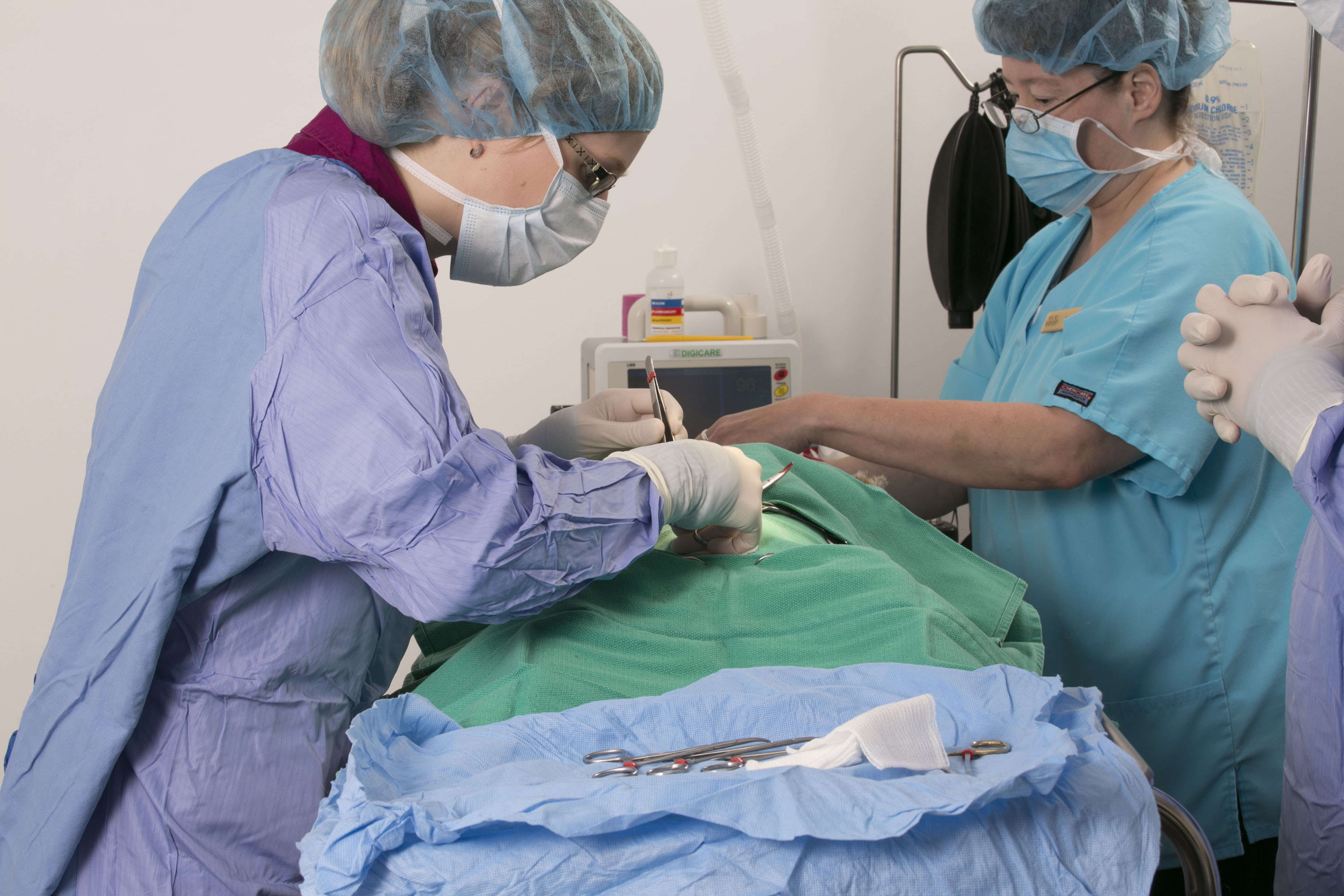 Hannah the Pet Society offers Surgical and Post Surgery Care Veterinarian Services
